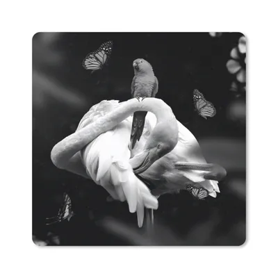 Produktbild von MuchoWow® Mauspad Mousepad Flamingo - Tiere - Natur - Schwarz - Weiß 30x30 cm - Mousepads - Maus Mat - Pad - Mausunterlage - Gaming