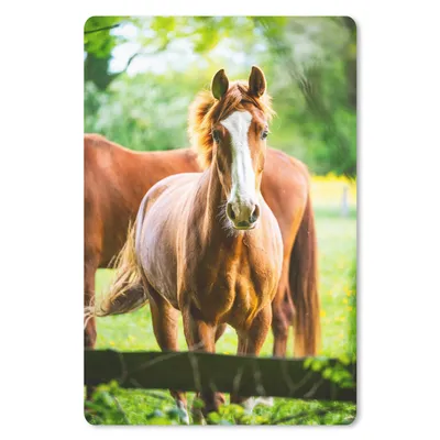 Produktbild von MuchoWow® Mauspad Mousepad Pferde - Licht - Wiese 18x27 cm - Mousepads - Maus Mat - Pad - Mausunterlage