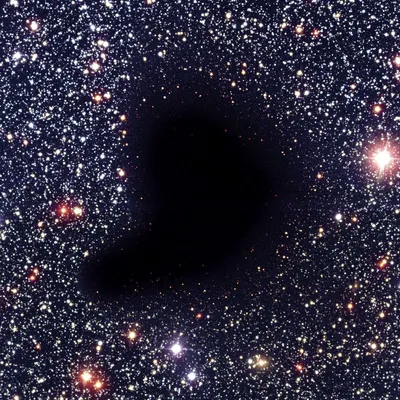 Image de Solo pour Tamburium