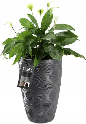 Image de KADAX Pot de fleurs avec insert "Jesi", bac à plantes en plastique, pot résistant aux UV, haut, 40 cm, anthracite