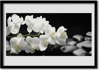 Produktbild von Bild 100x70 MDF-Rahmen Wandkunst Stein Blume Pflanze