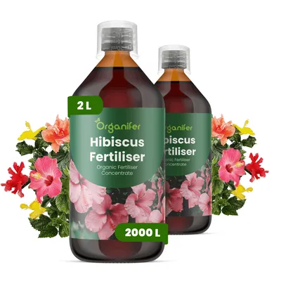 Obrázok produktu pre Ibištek, tekuté hnojivo 2x1 L – vzorec NPK 2-1-8 – vhodné pre ibišteky – podporuje bohaté kvitnutie a vitalitu – značka Organifer