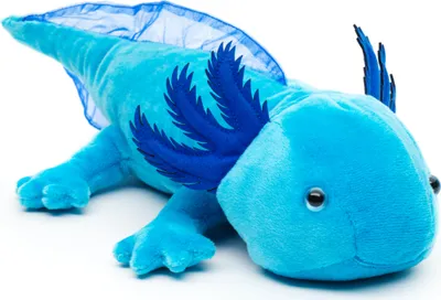 Produktbild von Uni-Toys - Axolotl (blau) - 32 cm (Länge) - Plüsch-Wassertier - Plüschtier, Kuscheltier