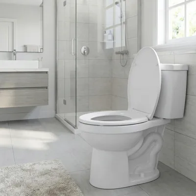 Obrázek produktu pro SONGMICS WC sedátko ve tvaru O, automatické sklápění, odnímatelné víko, madlo, snadná montáž, nosnost až 300 kg, bílé
