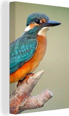 Produktbild von OneMillionCanvasses® - Leinwandbilder - 90x140 cm, Vogel - Eisvogel - Zweig, Wandbilder Kunstdruck Wanddekoration - Foto auf Leinwand - Gemälde auf Holzrahmen  - Wandschmucke - Schlafzimmer