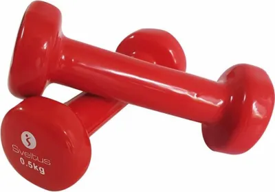 Produktbild von 2x Epoxidhanteln Dumbbells Übung & Fitness Training Heimgebrauch >500g