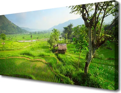 Produktbild von Tulup Leinwand-Bilder 100x50 Wandbild Canvas Kunstdruck Wiese Natur