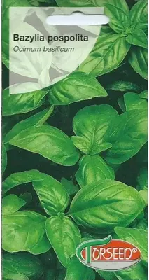 Produktbild von Grünes Basilikum, Ocinum basilicum 0.5g - Torseed