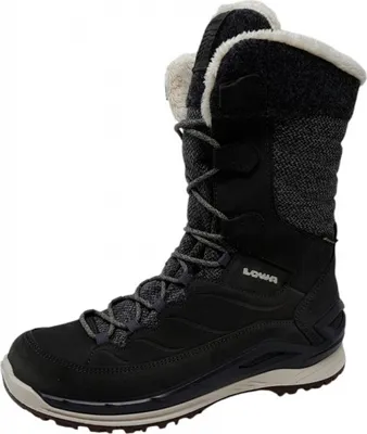 Produktbild von Lowa Barina EVO GTX Wanderschuh Grau