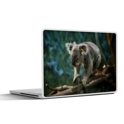 Produktbild von MuchoWow® Laptop Aufkleber Sticker Cover Koala - Baum - Äste - Kinder - Junge - Mädchen 25x18 cm - Laptop-Deko
