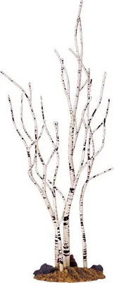 Produktbild von LEMAX - Birch Tree / Medium