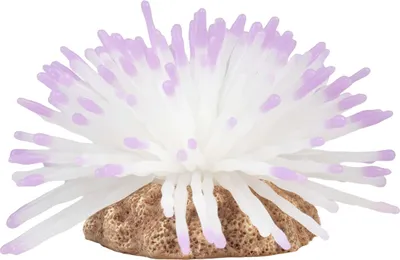 Produktbild von Aqua Della Plastikpflanze Anemone weiß