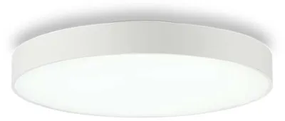Immagine prodotto di HALO PL1 D45 4000K, Plafoniera, Ideal Lux