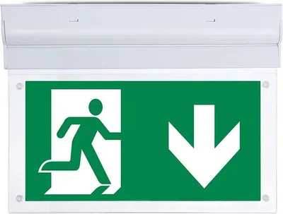 Image de LED Solution : luminaire de secours LED blanc pour mur ou plafond avec pictogrammes, 2 W, 836-6