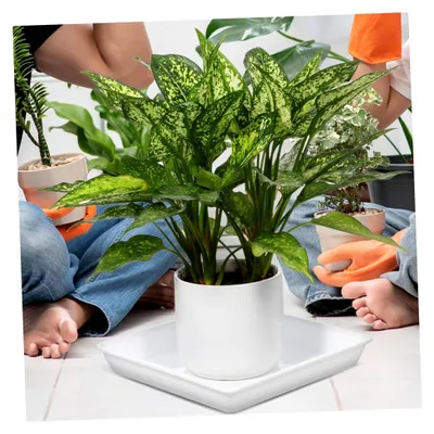Produktbild von 2 Stück Quadratische Blumentopfuntersetzer 33 cm Weiß Kunststoff