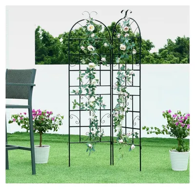 Produktbild von Rankgitter Set 2er für Kletterpflanzen Metall Schwarz 180 cm hoch Garten Spalier freistehend