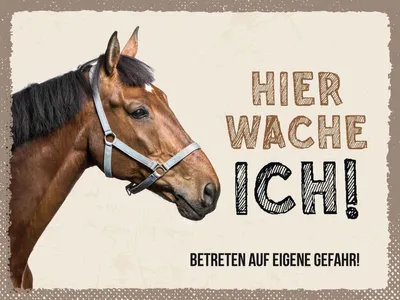 Produktbild von vianmo Holzschild 30x40 cm Pferd hier wache ich eigene Gefahr Tier Haustier