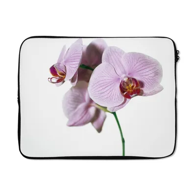 Produktbild von MuchoWow® Laptop Hülle 17 Zoll Laptoptasche Rosa Orchideenblüte - Zipper - Schutzabdeckung