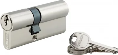 Image de Cylindre de serrure double entrée SA, 30 x 55 mm, anti-arrachement, nickel, 3 clés - 1 pièce - THIRARD - 00016355