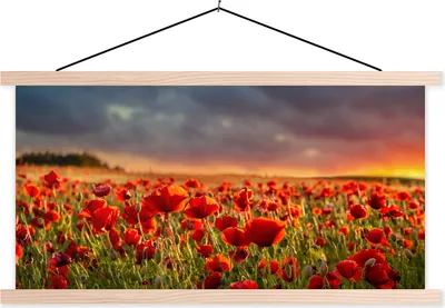 Produktbild von MuchoWow® Textilposter Sonnenuntergang über einem Feld von Mohnblumen 120x60 cm mit holzfarbenen Rahmen - Klemmleiste