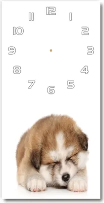 Produktbild von Wanduhr aus Glas – 30x60 cm - Glasbild - Glasuhr - Gehärtetes Glas -Akita-Welpe