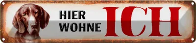 Produktbild von vianmo Blechschild 10x46 cm Beagle Hund hier wohne Tier Haustier