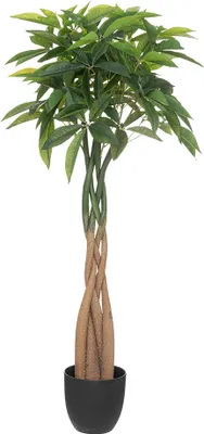 Obrázok produktu pre Eazy Living Umelá rastlina Pachira H120 cm