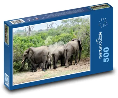 Zdjęcie produktu dla martinpuzzle - Puzzle 500 - Zwierzęta - słonie