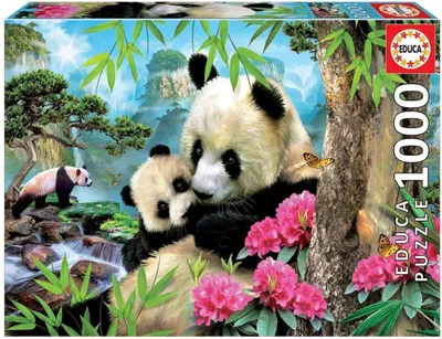 Obrázek produktu pro Educa Morning Panda, 1000 kusů, Zvířata, 12 rok/roky