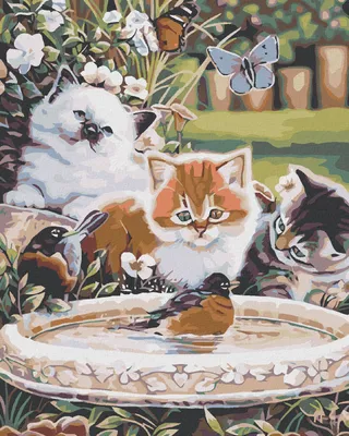 Produktbild von Diamondi - Diamond painting - KÄTZCHEN UND VÖGLEIN, 40X50 cm, mit Keilrahmen (bereits gespannt)
