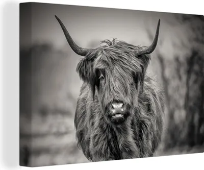 Produktbild von OneMillionCanvasses® - Leinwandbilder - 150x100 cm, Schottisches Hochlandrind - Schwarz und Weiß, Wandbilder Wohnzimmer Hochland Rind - Tier Wanddekoration - Hochland Rind - Kuh - Gemälde auf Holzrahmen