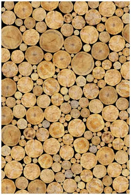 Produktbild von Wallario Premium Glasbild, freischwebende Optik, kräftige Farben, Größe 90 x 60 cm Motiv Holzstapel rund