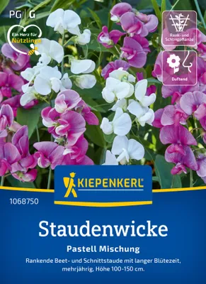 Produktbild von Kiepenkerl Blumensamen Staudenwicken Pastell Mischung für ca. 15 Pflanzen