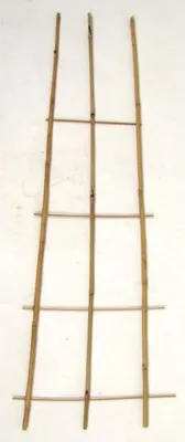 Image de 25x Bamboo Treillis 110cm Mur de protection contre la vue Plantes grimpantes Aide jardin