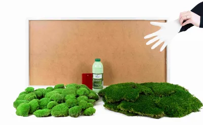 Produktbild von Moosbild DIY-Set Fifty Fifty Design (110x55, weiß)