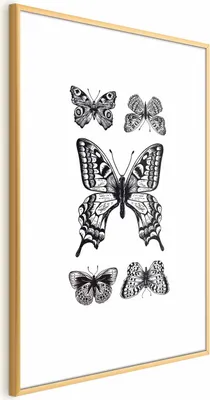 Produktbild von Posterpapier Poster - Five Butterflies 21x30 cm Tiere g-B-0118-ao-a