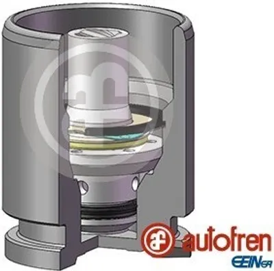 Produktbild von AUTOFREN SEINSA Bremssattel-Kolben für VW Golf IV Schrägheck (1J1) 41mm