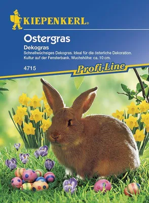 Produktbild von [STREICHUNG 2025] Ostergras Dekogras | Gräsersamen von Kiepenkerl