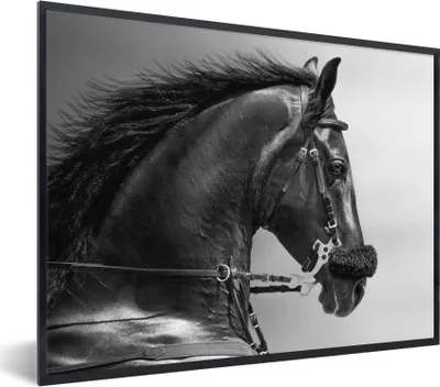 Produktbild von MuchoWow® Gerahmtes Poster Pferde - Schwarz - Porträt - Tiere 80x60 cm - Poster mit Schwarzem Bilderrahmen Wandposter Rahmen Foto Bilder - Schwarzem - Mit Gestell