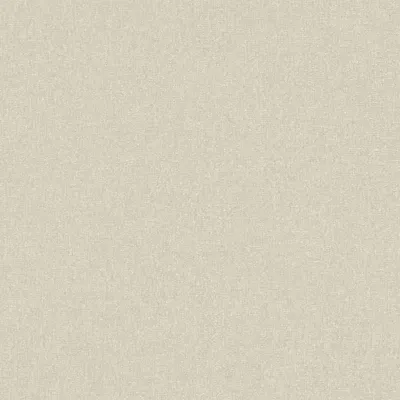 Produktbild von A.S. Creation | Terra | 389252 | Vliestapete | Einfarbig | 10.05 x 0.53 m | Beige | Wohnzimmer | Flur | Büro | Küche | Wohnräume