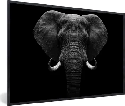 Produktbild von MuchoWow® Gerahmtes Poster Tiere - Elefant - Porträt - Schwarz - Weiß 60x40 cm - Poster mit Schwarzem Bilderrahmen Wandposter Rahmen Foto Bilder - Printing - Wanddeko Schlafzimmer