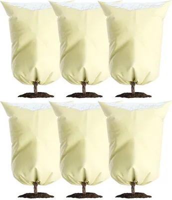 Image de Protection hivernale pour plantes, lot de 6 housses de protection 60 x 80 cm, housses de protection respirantes, beige
