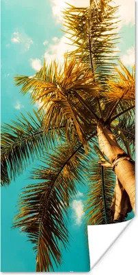 Produktbild von MuchoWow® Poster Palme - Sommer - Tropisch 20x40 cm - Plakat - Foto