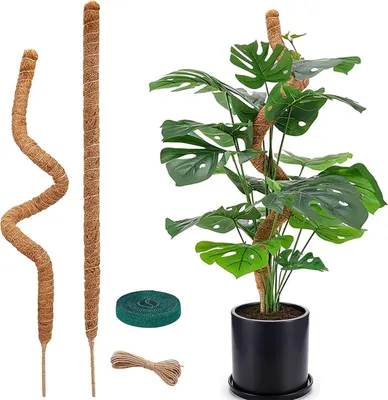 Obrázok produktu pre Kokosové vlákno, flexibilné, 120 cm, vhodné pre popínavé rastliny