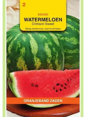Zdjęcie produktu dla Nasiona arbuza odmiany Crimson Sweet (Oranjeband) - 1 opakowanie
