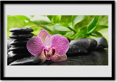 Produktbild von Bild 100x70 MDF-Rahmen Wandkunst Stein Blume Pflanze