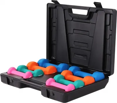 A set of dumbbells in a black carrying case.