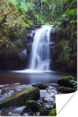 Produktbild von MuchoWow® Poster Wasserfall - Natur - Wasser 80x120 cm - Papierdruck