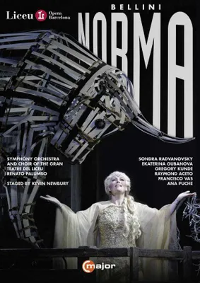 Immagine prodotto di Norma