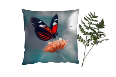 Produktbild von MuchoWow® Zierkissen Sofakissen Wohnzimmer Dekokissen 60x60 cm Schmetterling - Blume - Insekt - Sitzfläche - Foto Polster